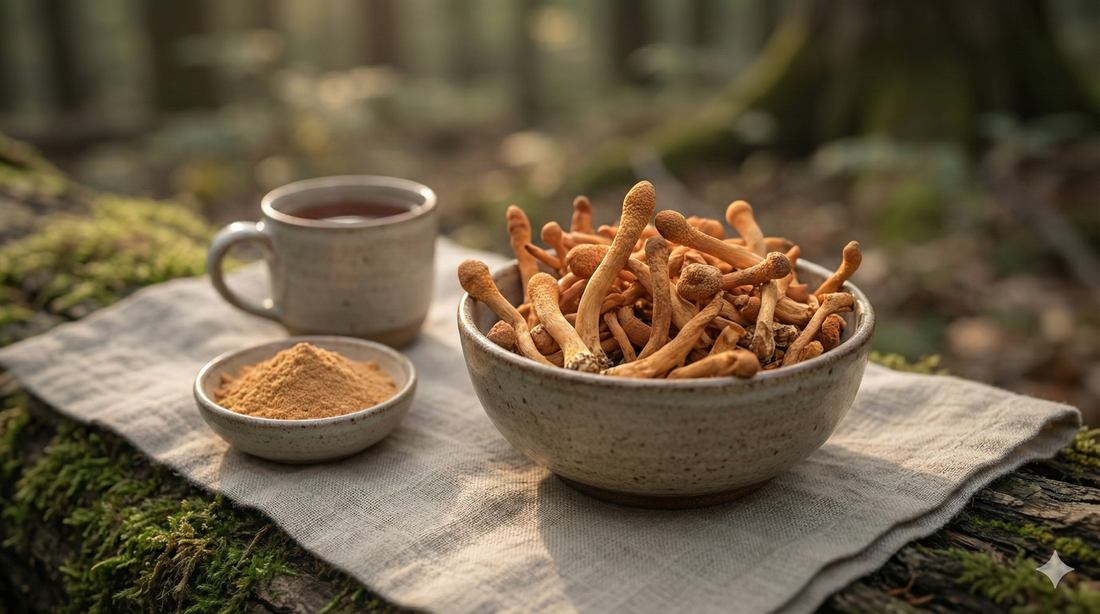 Cordyceps: Die Geheimwaffe für Energie und Ausdauer