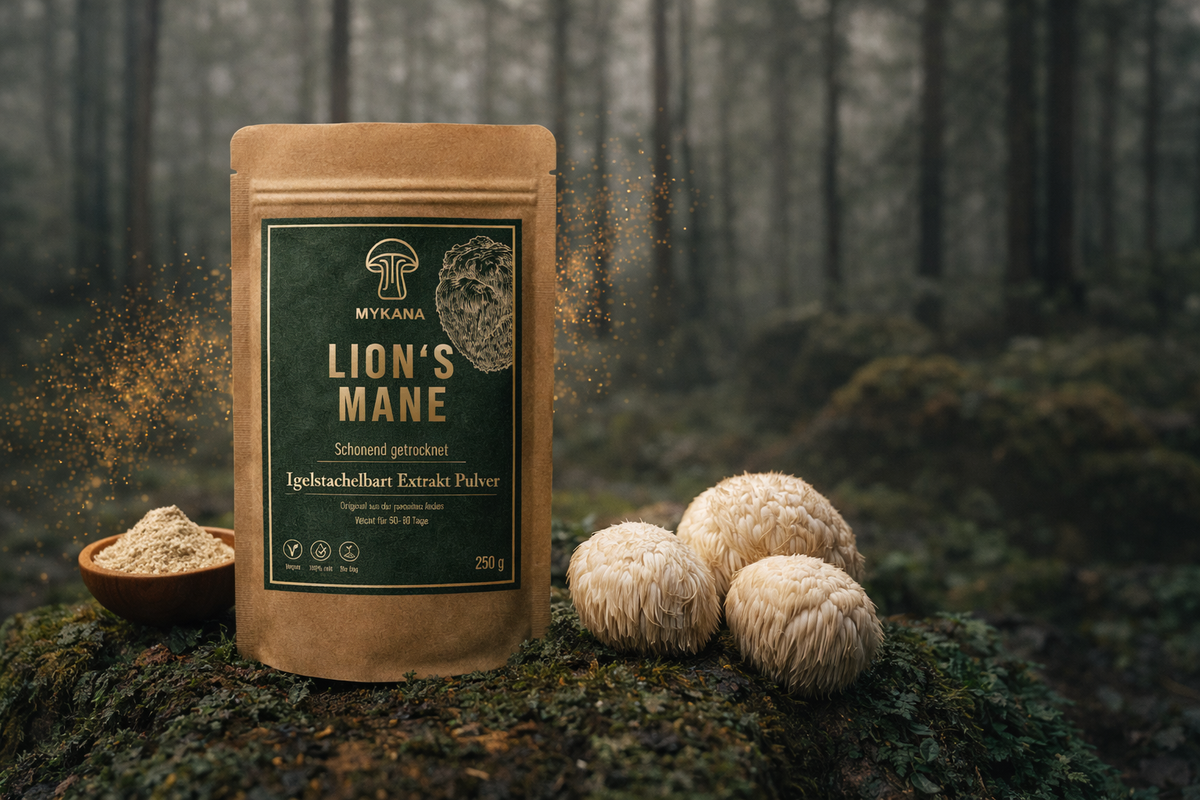 Lion's Mane Extrakt