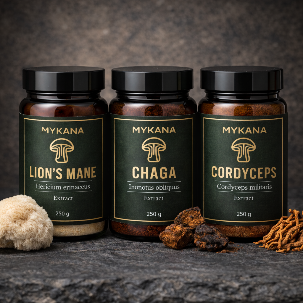 Reishi Extrakt